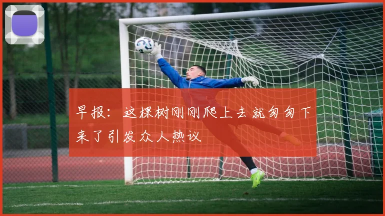 早报：这棵树刚刚爬上去就匆匆下来了引发众人热议